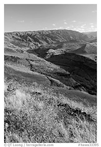 Valley carved by the Waimea River, lower Waimea Canyon, early morning. Kauai island, Hawaii, USA (black and white)