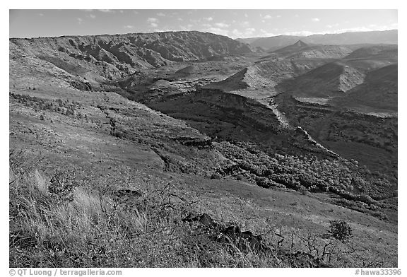 Valley carved by the Waimea River, lower Waimea Canyon, early morning. Kauai island, Hawaii, USA (black and white)