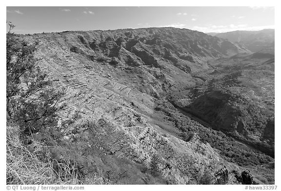 Valley carved by the Waimea River, lower Waimea Canyon, early morning. Kauai island, Hawaii, USA (black and white)