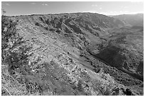 Valley carved by the Waimea River, lower Waimea Canyon, early morning. Kauai island, Hawaii, USA (black and white)