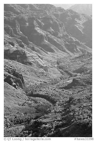 Waimea River, lower Waimea Canyon, early morning. Kauai island, Hawaii, USA (black and white)