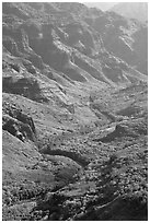 Waimea River, lower Waimea Canyon, early morning. Kauai island, Hawaii, USA (black and white)