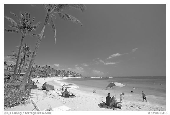 Sun unbrellas and palm trees, mid-day, Poipu Beach. Kauai island, Hawaii, USA