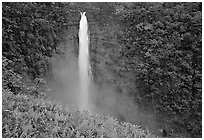 Pictures of Akaka Falls State Park