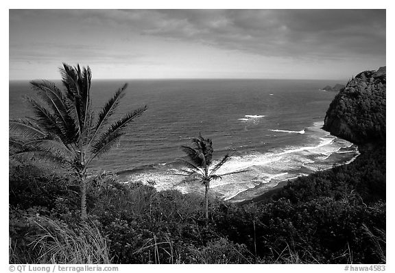 Polulu Beach seen from Polulu Valley overlook. Big Island, Hawaii, USA (black and white)