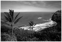 Polulu Beach seen from Polulu Valley overlook. Big Island, Hawaii, USA ( black and white)