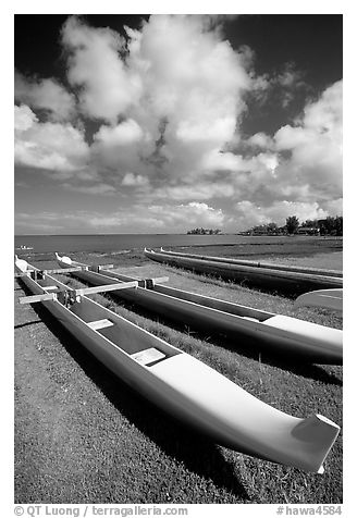 Outtrigger canoes on  beach,  Hilo. Big Island, Hawaii, USA