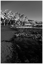 Beach of basalt black sand  at Punaluu. Big Island, Hawaii, USA (black and white)