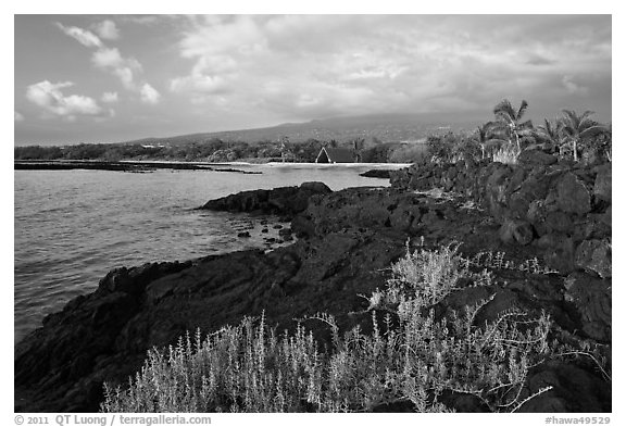 Lava shoreline, Kaloko-Honokohau National Historical Park. Hawaii, USA (black and white)