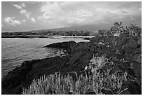 Lava shoreline, Kaloko-Honokohau National Historical Park. Hawaii, USA (black and white)