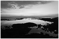 Tidepool, Kaloko-Honokohau National Historical Park. Hawaii, USA (black and white)