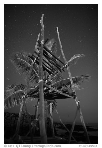 Altar and palm tree at night, Kaloko-Honokohau National Historical Park. Hawaii, USA