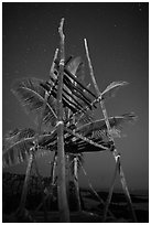 Altar and palm tree at night, Kaloko-Honokohau National Historical Park. Hawaii, USA (black and white)