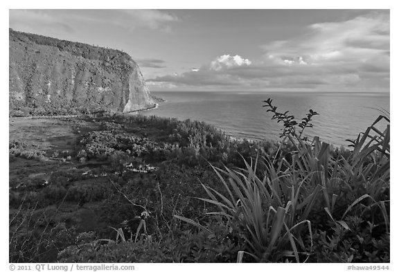 Waipio Valley and Ocean at sunrise. Big Island, Hawaii, USA