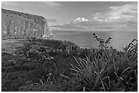 Waipio Valley and Ocean at sunrise. Big Island, Hawaii, USA ( black and white)