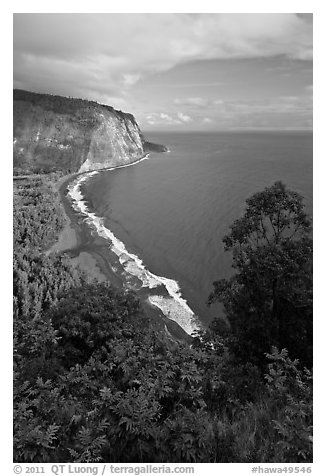 Waipio Beach from overlook, early morning. Big Island, Hawaii, USA (black and white)