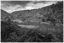 River, Waipio Valley. Big Island, Hawaii, USA ( black and white)