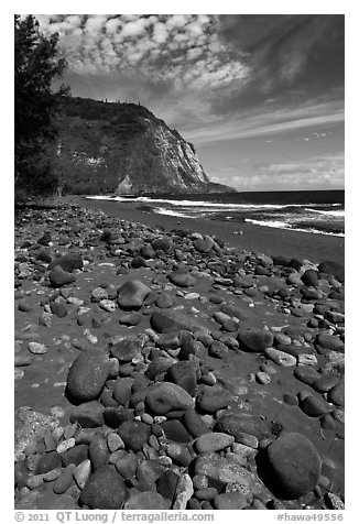 Rocks and black sand beach, Waipio Valley. Big Island, Hawaii, USA (black and white)