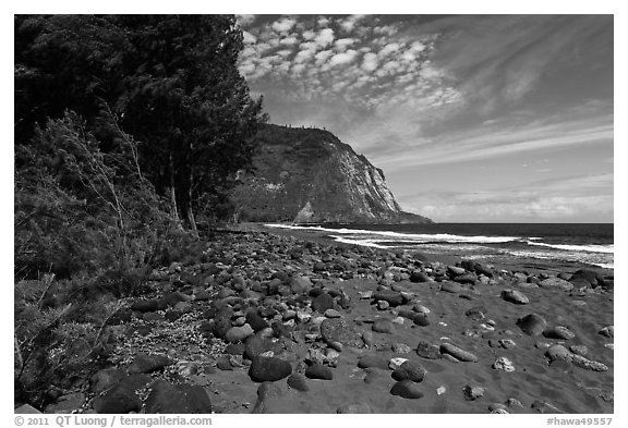 Waipio Beach covered with black sand. Big Island, Hawaii, USA (black and white)