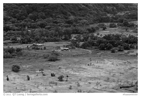 Valley farmlands from above, Waipio Valley. Big Island, Hawaii, USA (black and white)