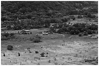 Valley farmlands from above, Waipio Valley. Big Island, Hawaii, USA ( black and white)