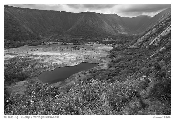 Waipio Valley. Big Island, Hawaii, USA (black and white)