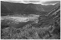 Waipio Valley. Big Island, Hawaii, USA ( black and white)