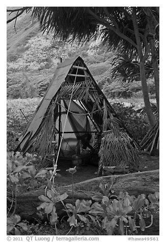 Hut, Waipio Valley. Big Island, Hawaii, USA