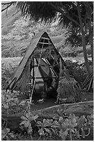 Hut, Waipio Valley. Big Island, Hawaii, USA (black and white)