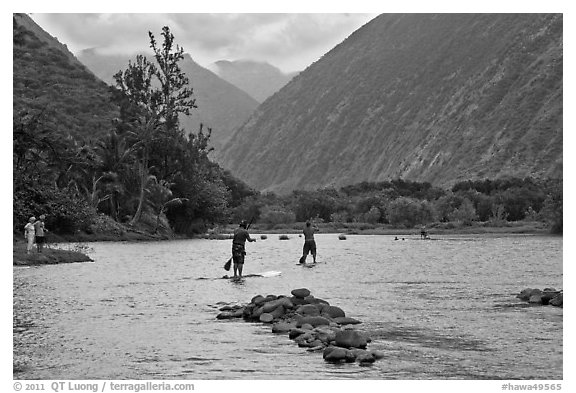 Men paddleboarding on river, Waipio Valley. Big Island, Hawaii, USA