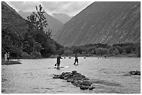 Men paddleboarding on river, Waipio Valley. Big Island, Hawaii, USA (black and white)