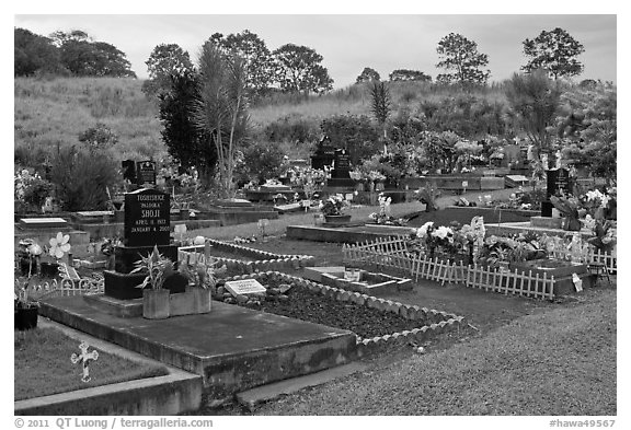 Hilo cemetery. Big Island, Hawaii, USA (black and white)