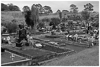 Hilo cemetery. Big Island, Hawaii, USA (black and white)