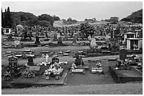 Japanese graves, Hilo. Big Island, Hawaii, USA (black and white)