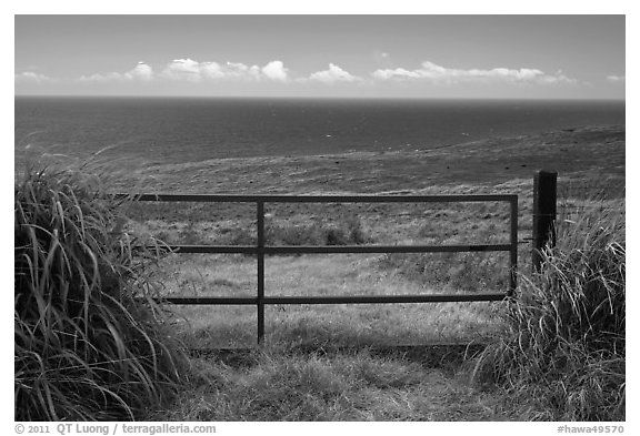 Gate, field, and Ocean. Big Island, Hawaii, USA