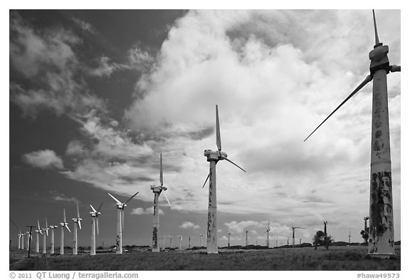 Old Kamoa wind farm, South Point. Big Island, Hawaii, USA