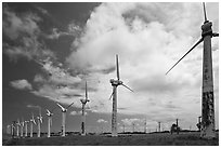 Old Kamoa wind farm, South Point. Big Island, Hawaii, USA (black and white)