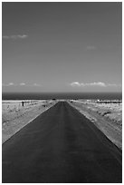 Narrow road and ocean,  South Point. Big Island, Hawaii, USA (black and white)