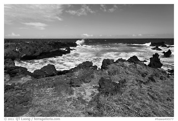Grasses and volcanic shore, South Point. Big Island, Hawaii, USA (black and white)