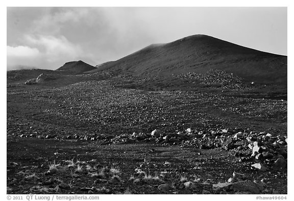 Cinder cones. Mauna Kea, Big Island, Hawaii, USA (black and white)