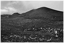 Cinder cones. Mauna Kea, Big Island, Hawaii, USA ( black and white)