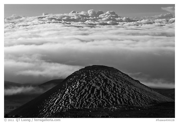 Dark cinder cone and sea of clouds. Mauna Kea, Big Island, Hawaii, USA