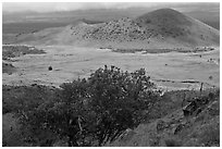 Vegetation-covered cinder cones. Big Island, Hawaii, USA ( black and white)