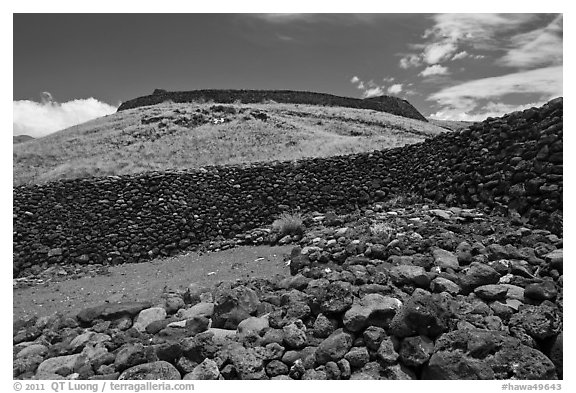 Mailekini Heaiu and Puukohola Heiau, Puukohola Heiau National Historic Site. Big Island, Hawaii, USA (black and white)