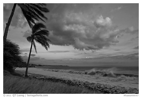 Palm trees, cloud, and ocean surf at sunset. Lahaina, Maui, Hawaii, USA (black and white)