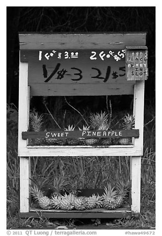 Self-serve fruit stand with pineapples. Maui, Hawaii, USA