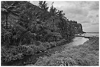 Honokohau creek and coast. Maui, Hawaii, USA ( black and white)