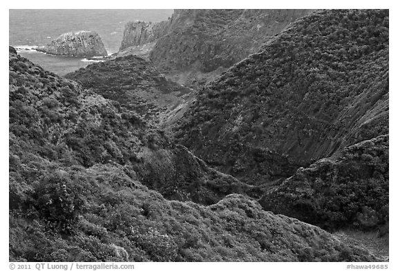 Verdant eroded valley. Maui, Hawaii, USA