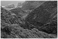 Verdant eroded valley. Maui, Hawaii, USA ( black and white)