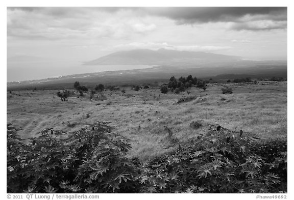 West Maui seen from highlands. Maui, Hawaii, USA